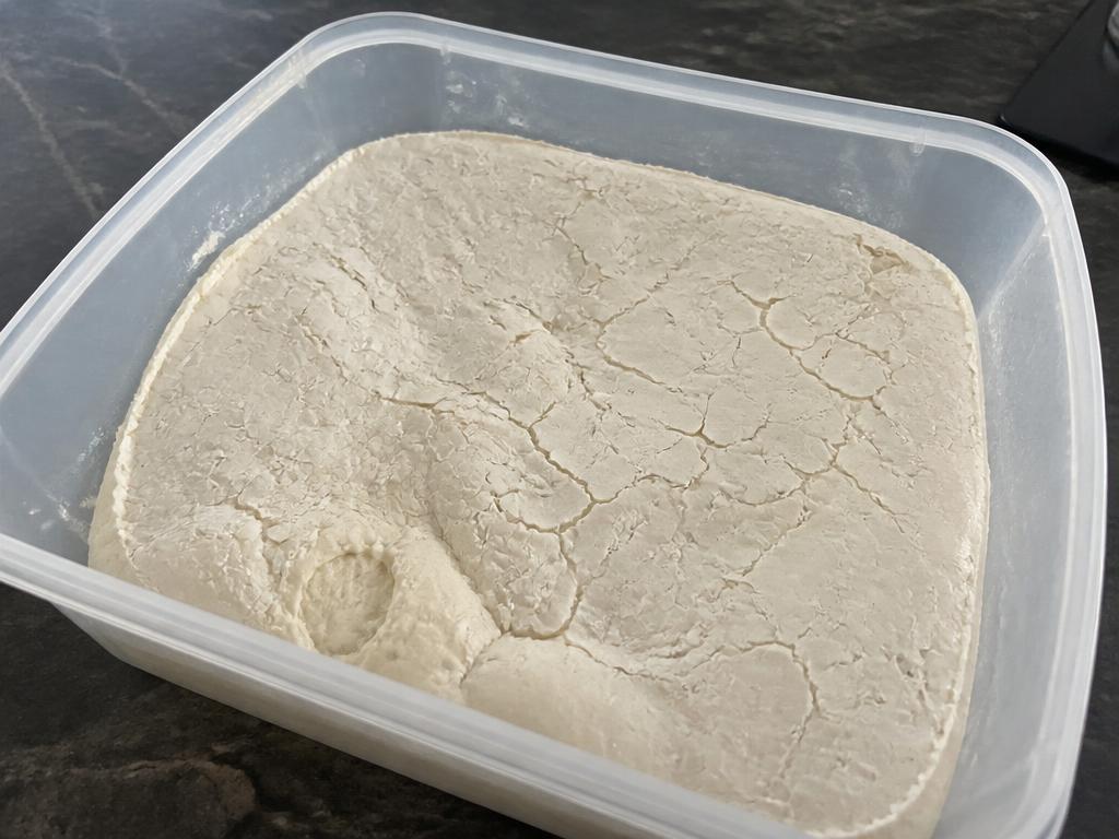 Pizza dough with a dry, pale, cracked leathery skin in an open plastic tub
