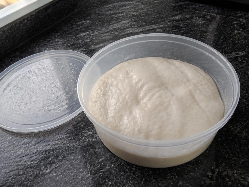 Supple, evenly moist pizza dough surface in a tub with a lid showing condensation