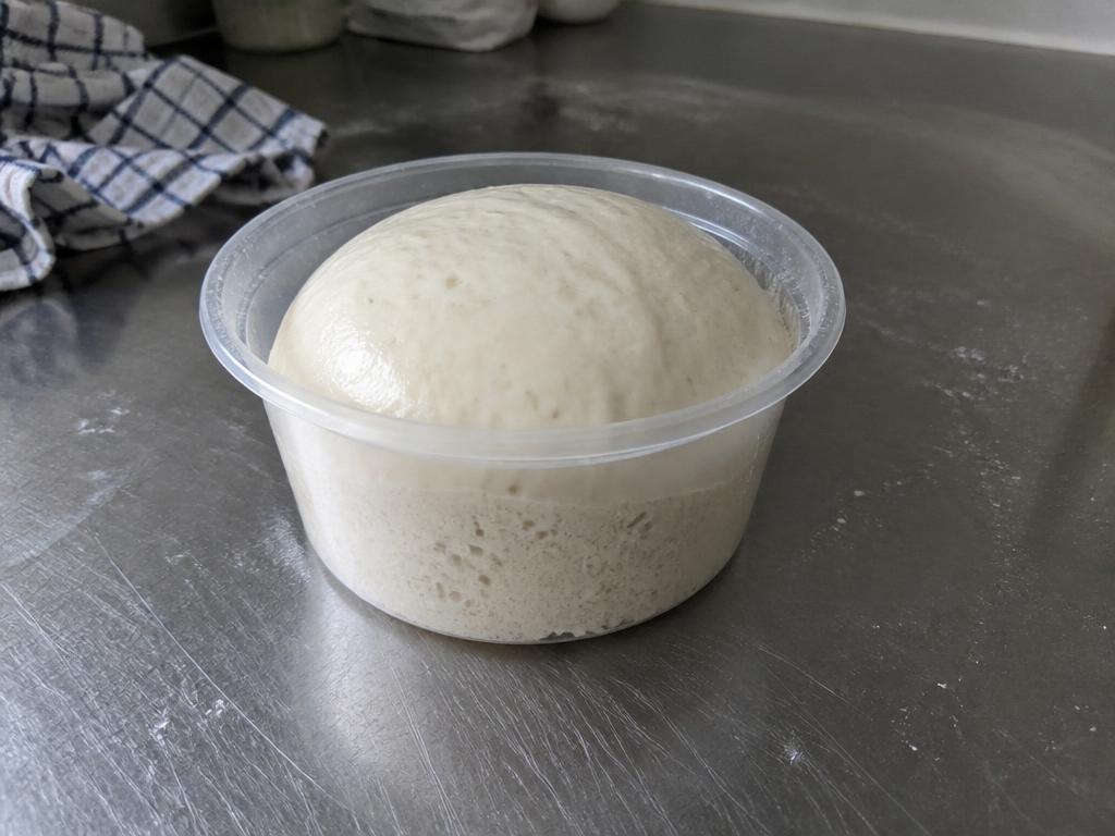 Well fermented pizza dough that has doubled and domed in the same container