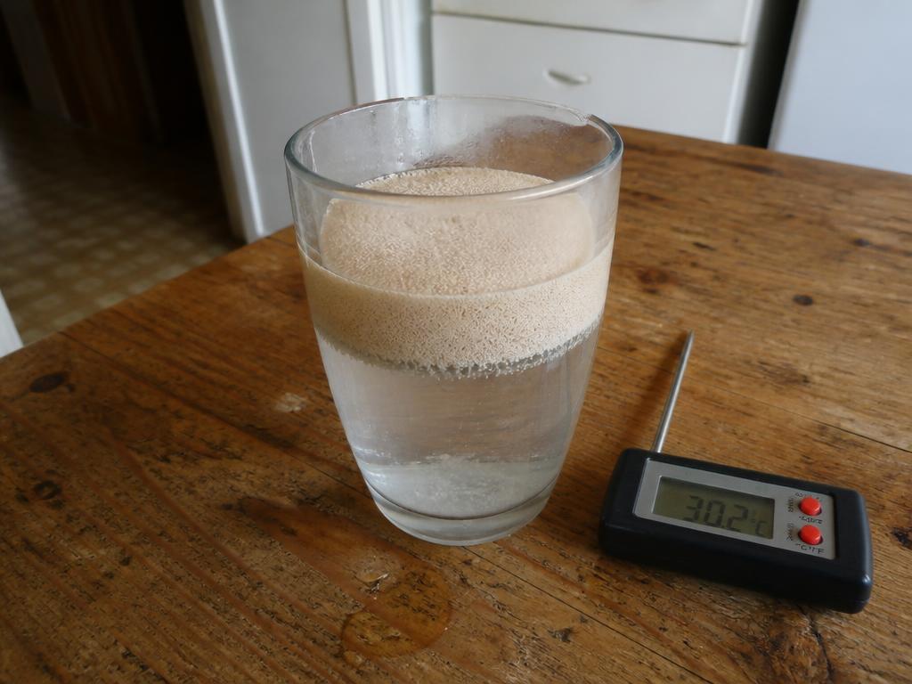 Active dry yeast foaming on top of warm water in a glass next to a digital kitchen thermometer reading 30 degrees Celsius