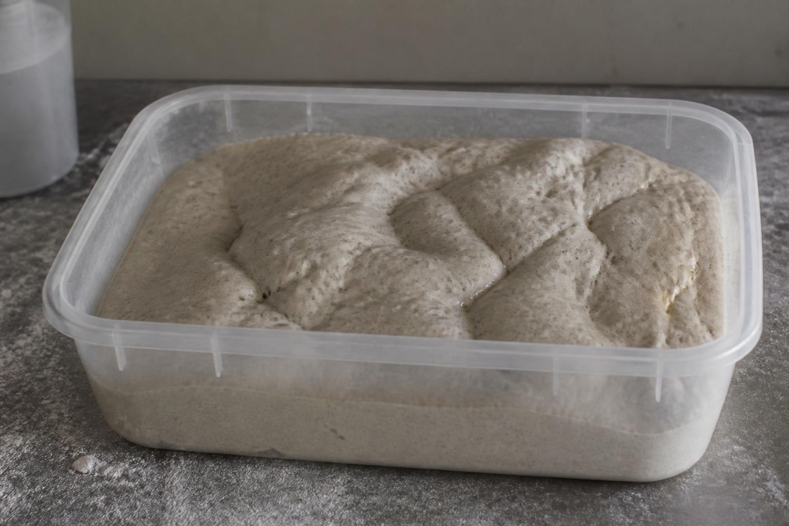 Dough Is Too Sour: Causes and Fixes