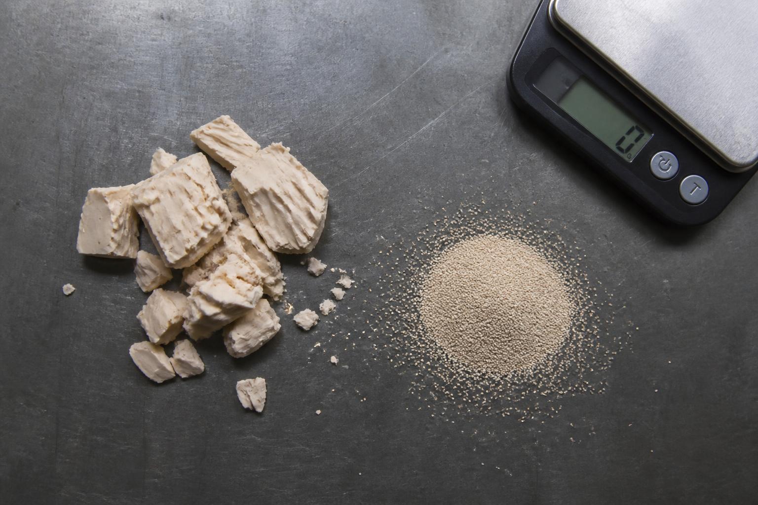 Fresh vs. Dry Yeast: What's the Difference?